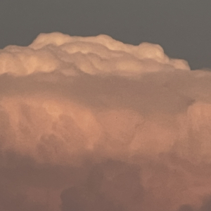 五月二十九日晴 (Prod:GALA$XXY)