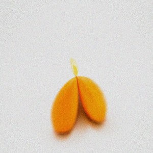 Scatters