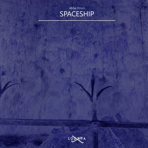 Spaceship (Original Mix)