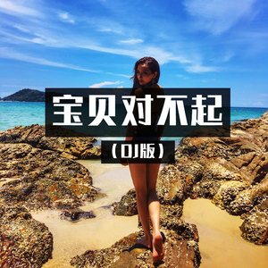 宝贝对不起 (DJ版)