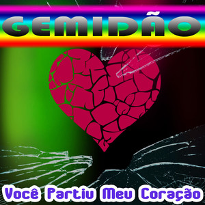 Você Partiu Meu Coração