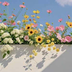 柳随风摆花漂泊 (语录氛围版)