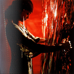 CAN YOU CELEBRATE? [Remix]