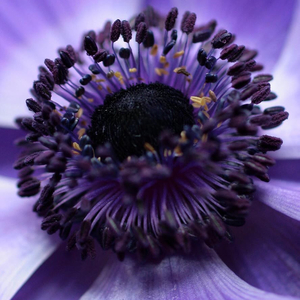 我的感情很贵请你不要浪费