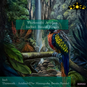 Acidbus (Original Mix)