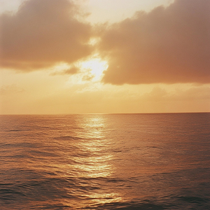 Gathered (Meditation)