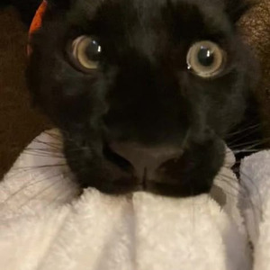 Darkside/Gone (sped up)