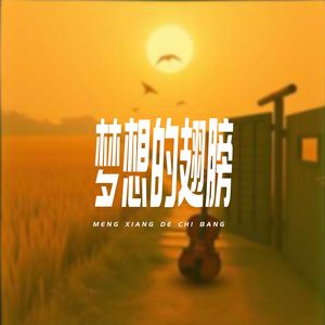 梦想的翅膀