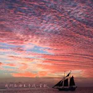 大海温柔 又有点好笑