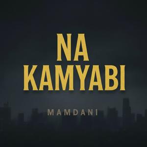 Na Kamyabi