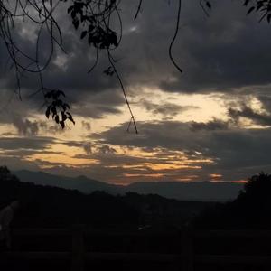 惯犯（cover：杨和苏&step.jad依加）