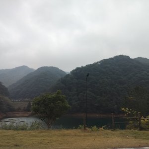 天气预报 没说今天会想你