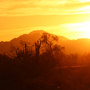 I'll Quit Again Tomorrow (feat. Eleanor Imster)