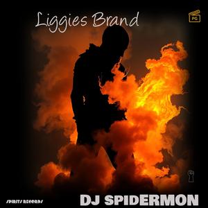 Liggies Brand