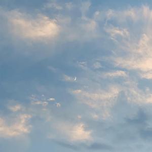 遇见（翻自 张超洋）