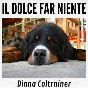 Palau De La Mùsica Catalana