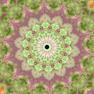 You are enough, smart, powerful, prosperous in health and in wealth, you deserve everything good in this life