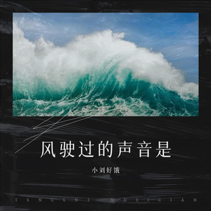 风驶过的声音是