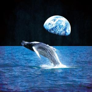 Mother****er (feat. Huffsheen Solfeggio & Brinxxx13)