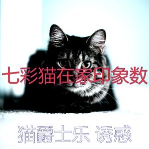 诗意的猫在家节奏