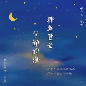 那年夏天宁静的海