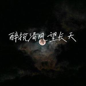 醉揽清风望长天