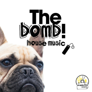 Public Eyes (Fashion Boyz Vocal Princess)