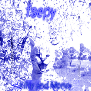 Киса и бабки