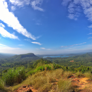 คงดีถ้าเป็นเขา (Desire)