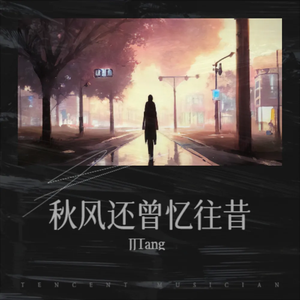 梁静茹-没有如果（JJtang remix）