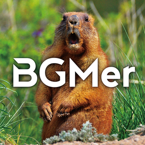 かたまる脳みそ