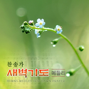 천부여 의지 없어서