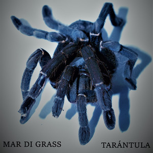Tarántula