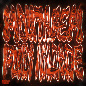 MONTAGEM PURA MALDADE (Super Slowed)