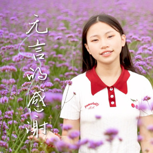 无言的感谢(伴奏)