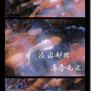 流水却比青春无边——记《夏目友人帐》的场静司