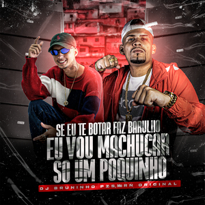 Se Eu Te Botar Faz Barulho X Eu Vou Machucar Só um Pouquinho (feat. MC Teteu & Mc Gw) (Remix)