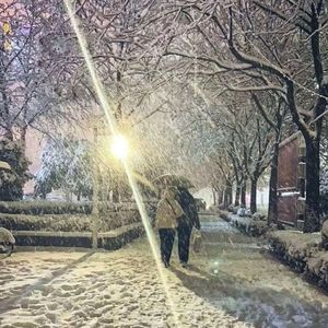 这一年不好也不坏