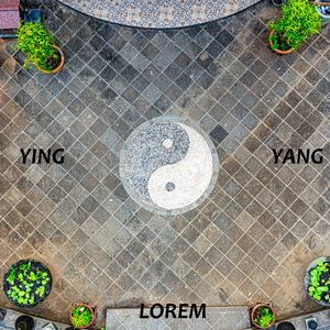 Ying Yang