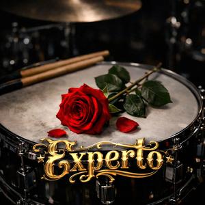 Experto