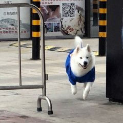 带我离开冬天