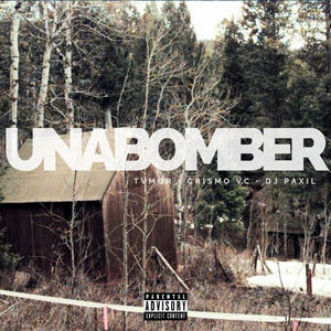 Unabomber