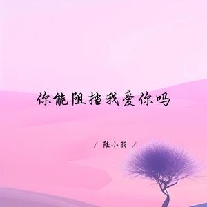 你能阻挡我爱你吗