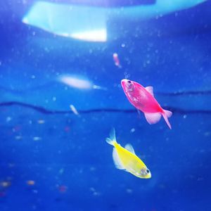 fish bpm120 #f minor rb type beat