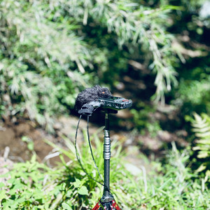 20240601 10:43am Naganuma Park (HPL2 Binaural)