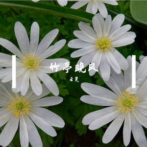 我的世界谁都不像你