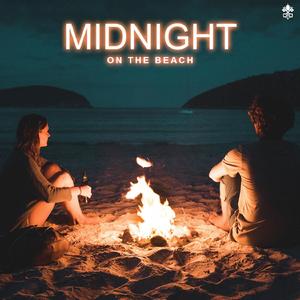 I Miss You (feat. Noctilucent) [Manu Lei Remix]