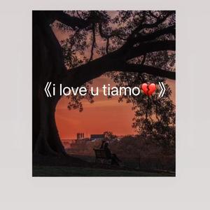 i love u tiamo