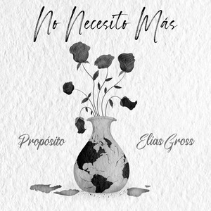 No Necesito Más