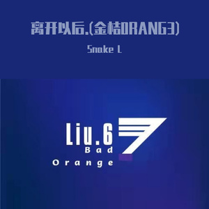 离开以后2.0(金桔0RANG3)